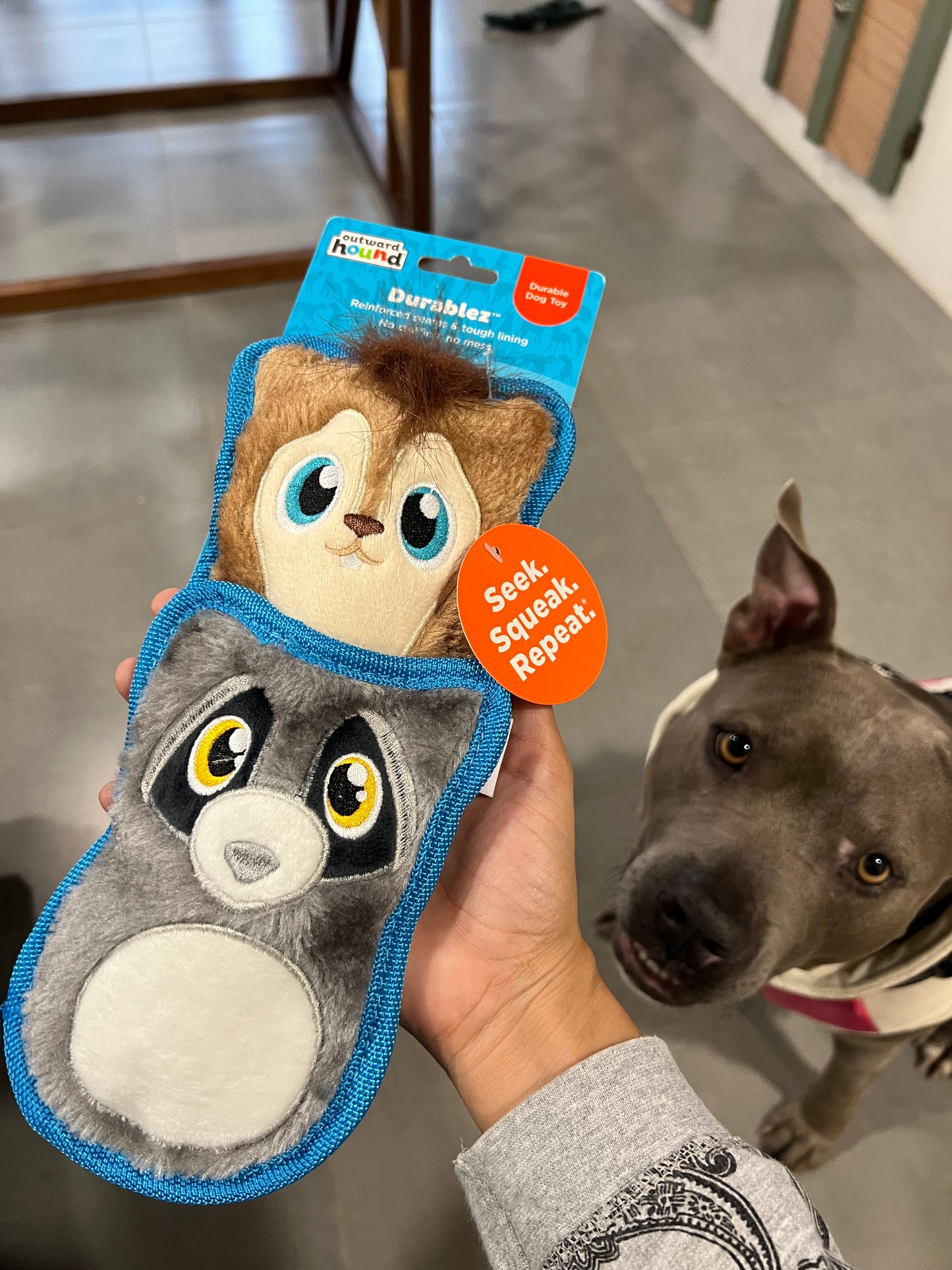 Durablez Squirrel/Raccoon 2/PK Dog Toys XS