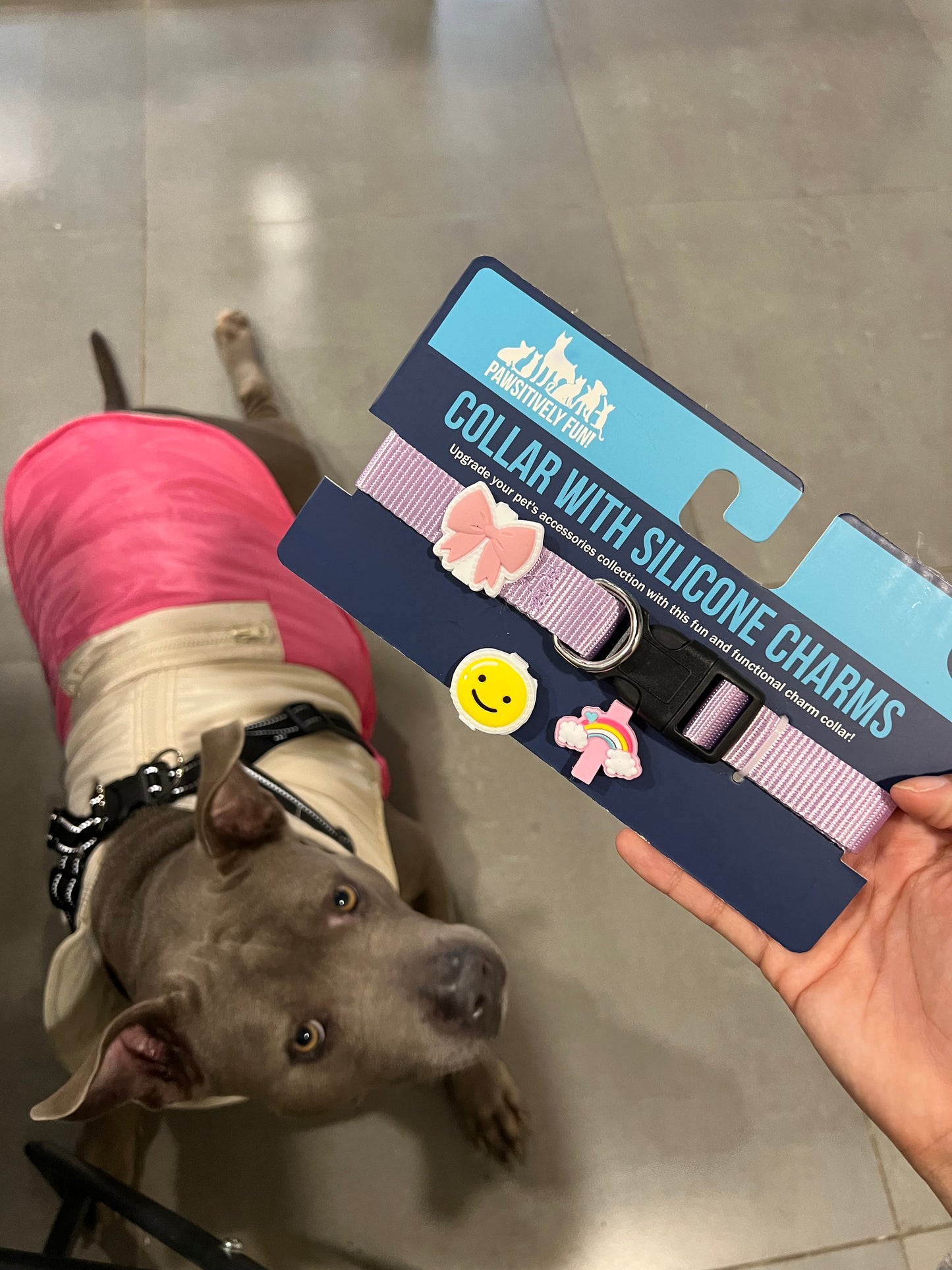 Dog Collar With Silicone Charms