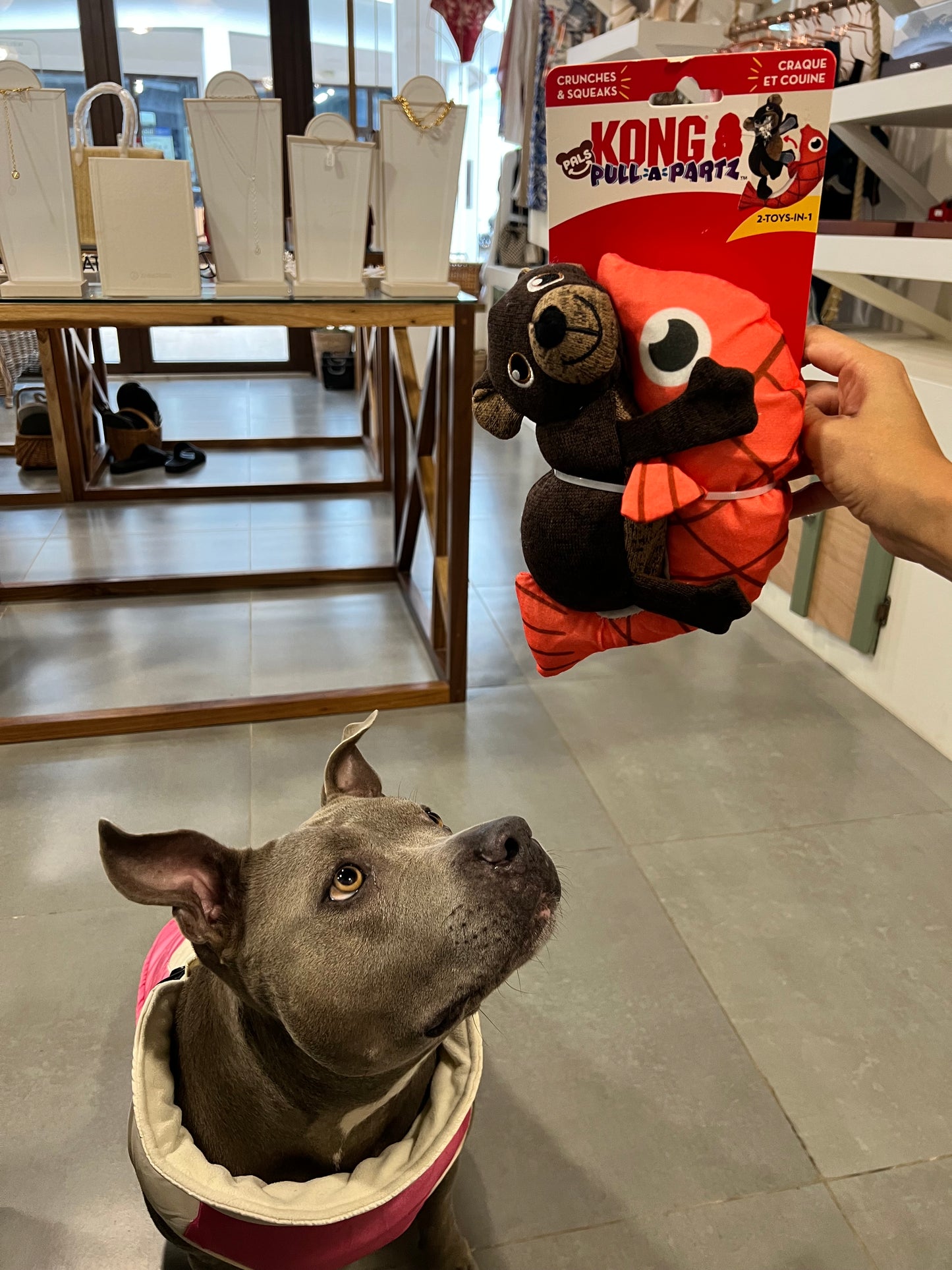 KONG Pull-A-Partz Pals 2 Toys in 1 Dog Toy (Bear)