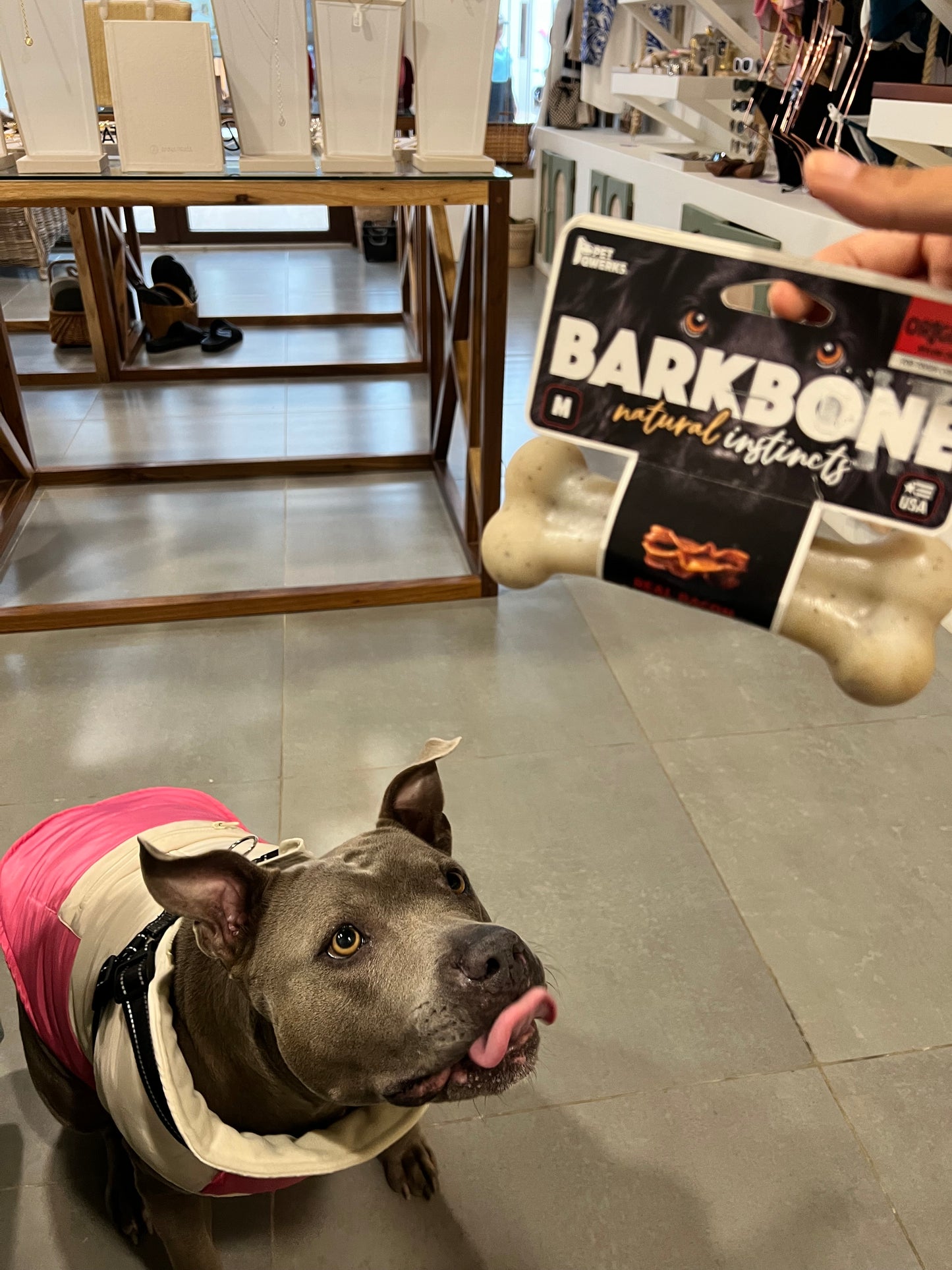 Barkbone - Bacon Flavored