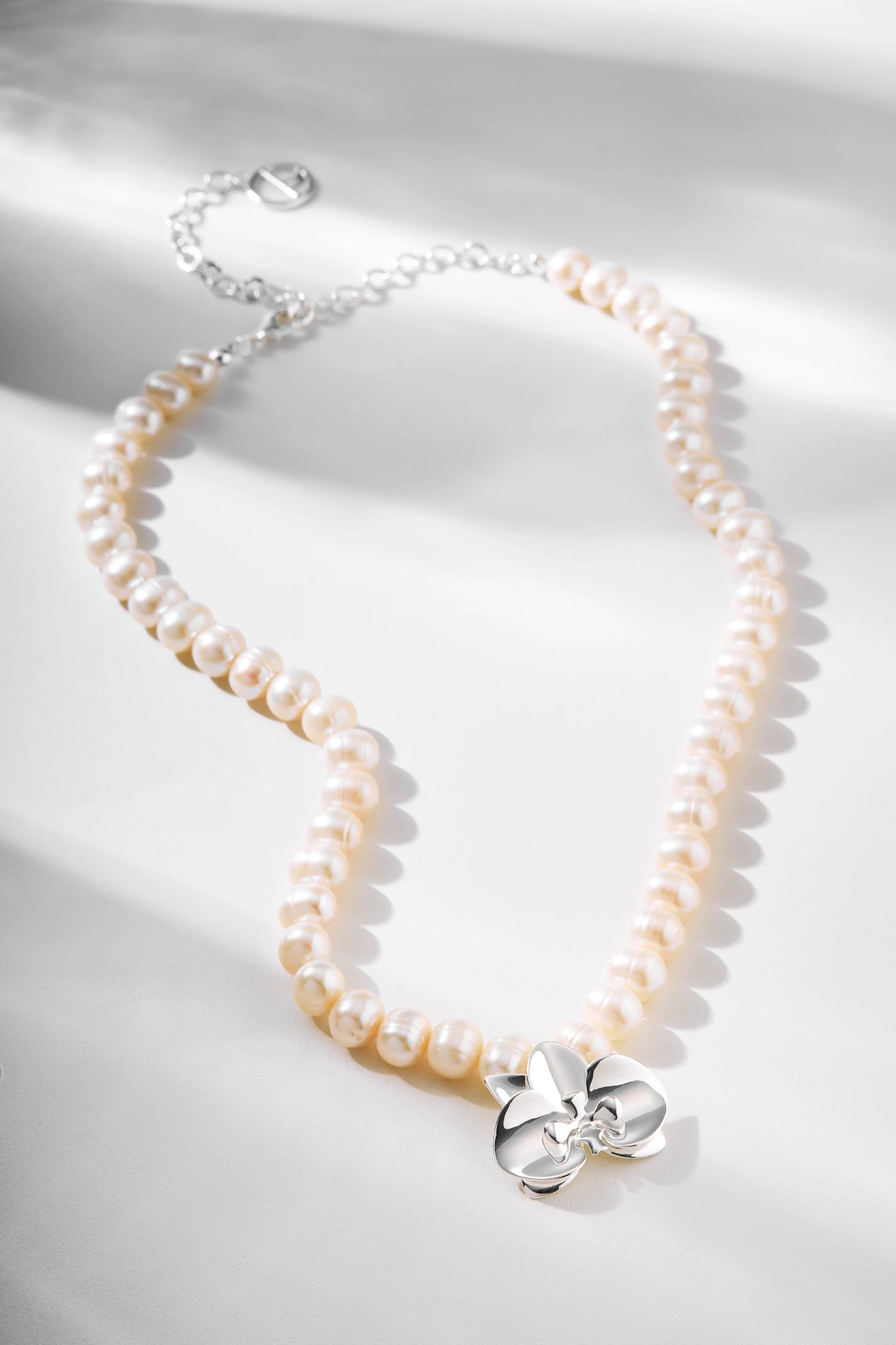 ORQUÍDEAS COLLAR MABE