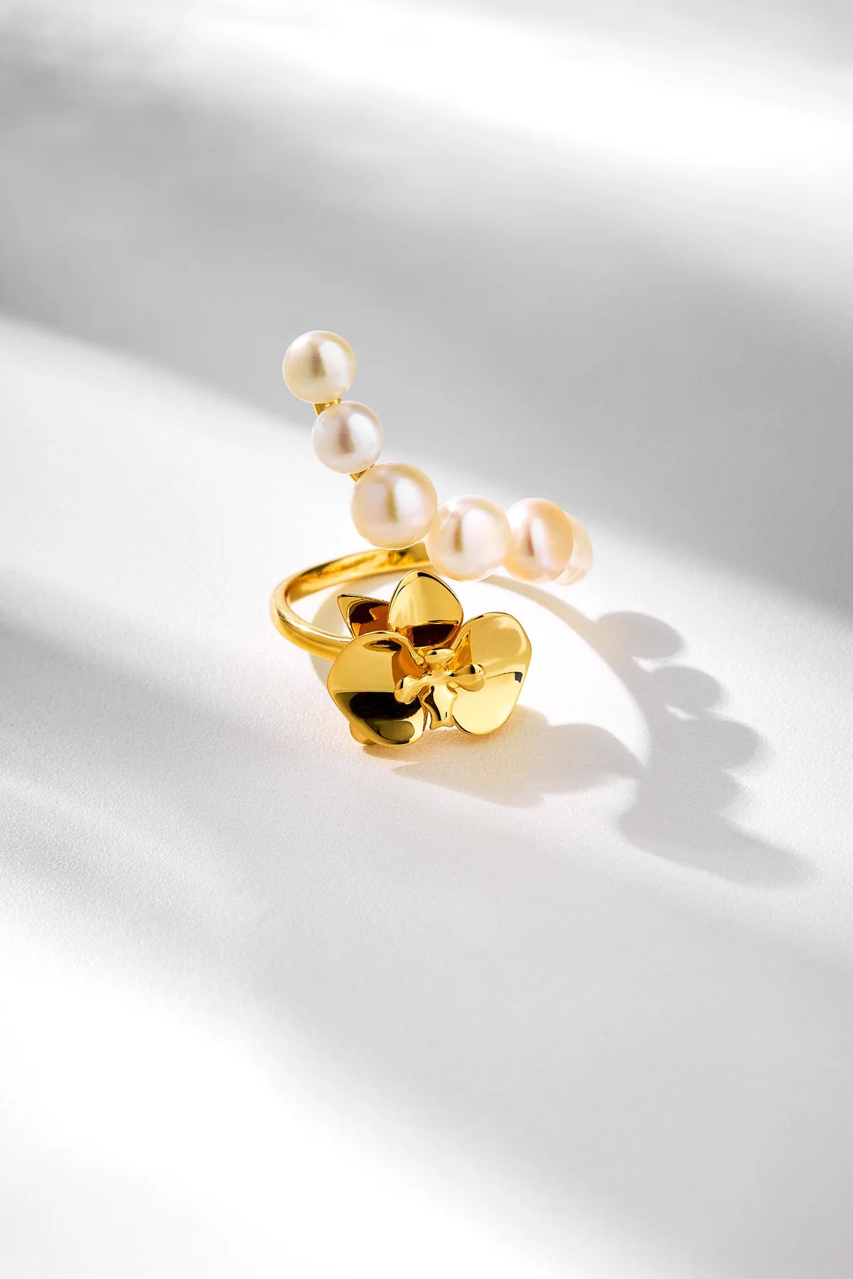 ORQUIDEAS MABE RING