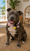 Dog Collar With Silicone Charms
