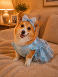 Frozen Dress