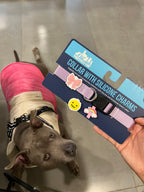 Dog Collar With Silicone Charms