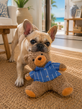 Plush Teddy Blue Shirt