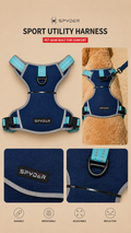 Dog Harness - Spyder - M