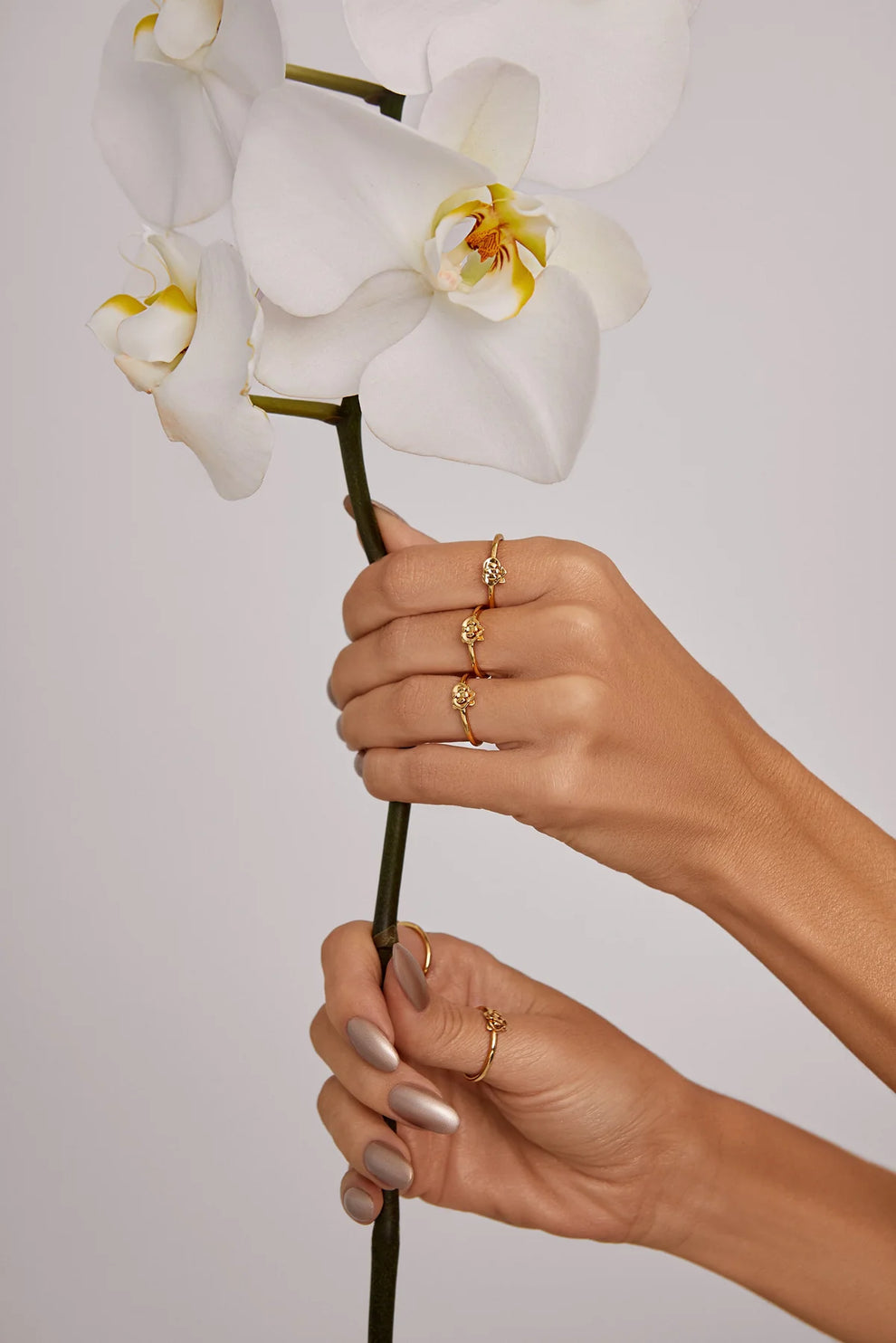 ORQUIDEA SMALL RING