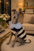 Victorian Dog Sweater