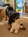 Pixel Bear Buddy - Dog Toy