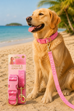 Dog Leash - Paris Hilton - L