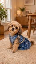 JSimpson Blue Sparkles - XS