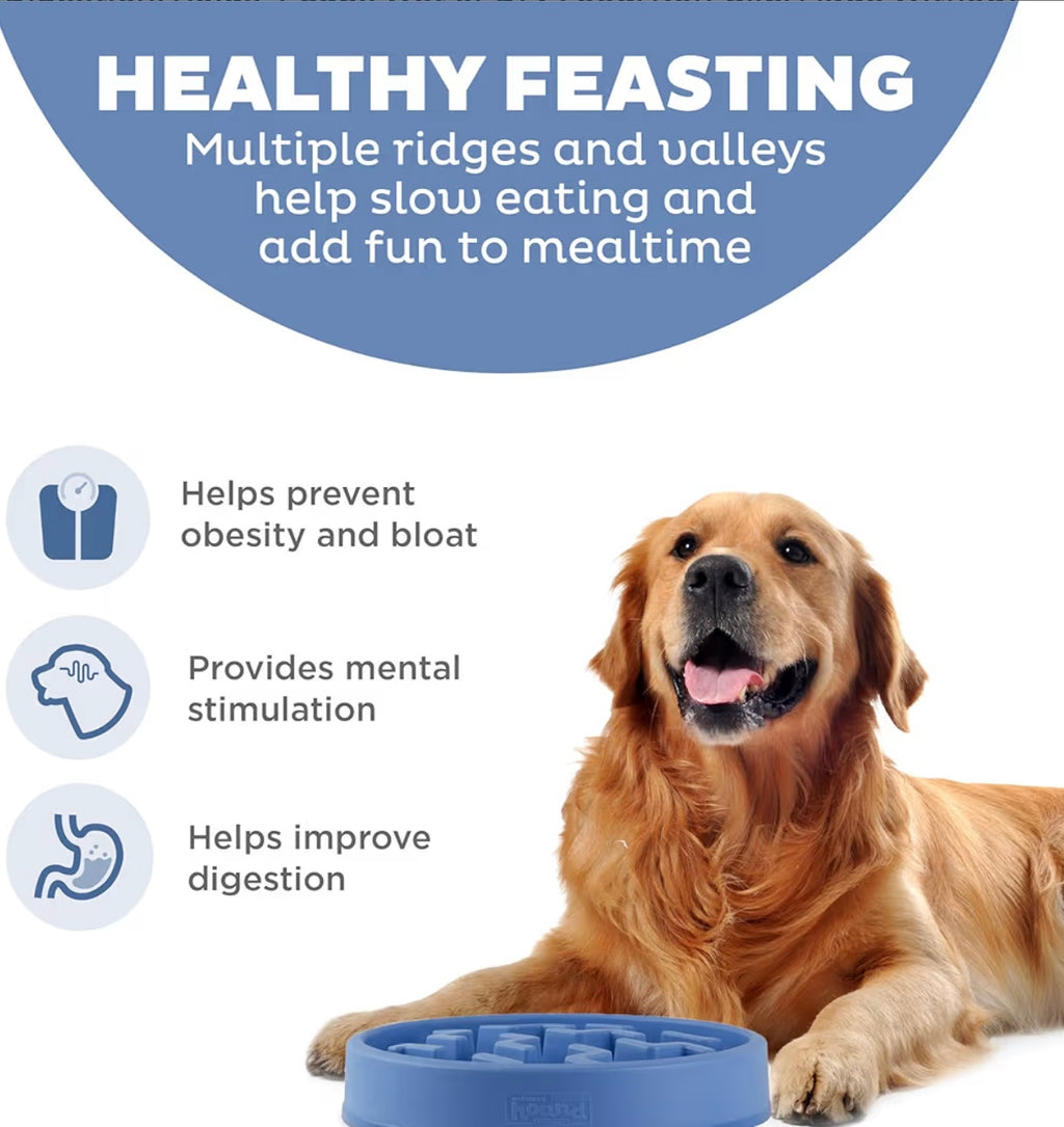 Fun Feeder Slow Bowl