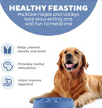 Fun Feeder Slow Bowl