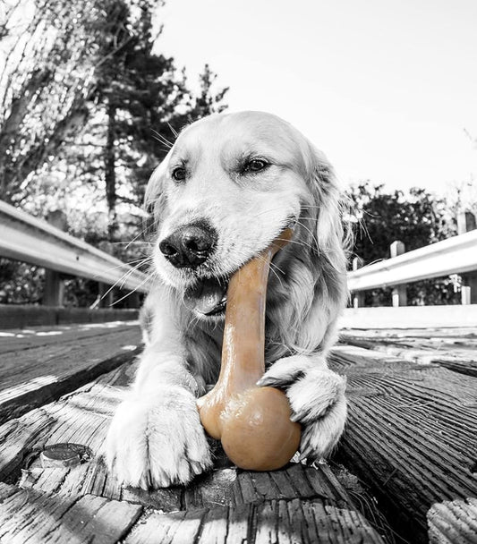 Barkbone - Bacon Flavored