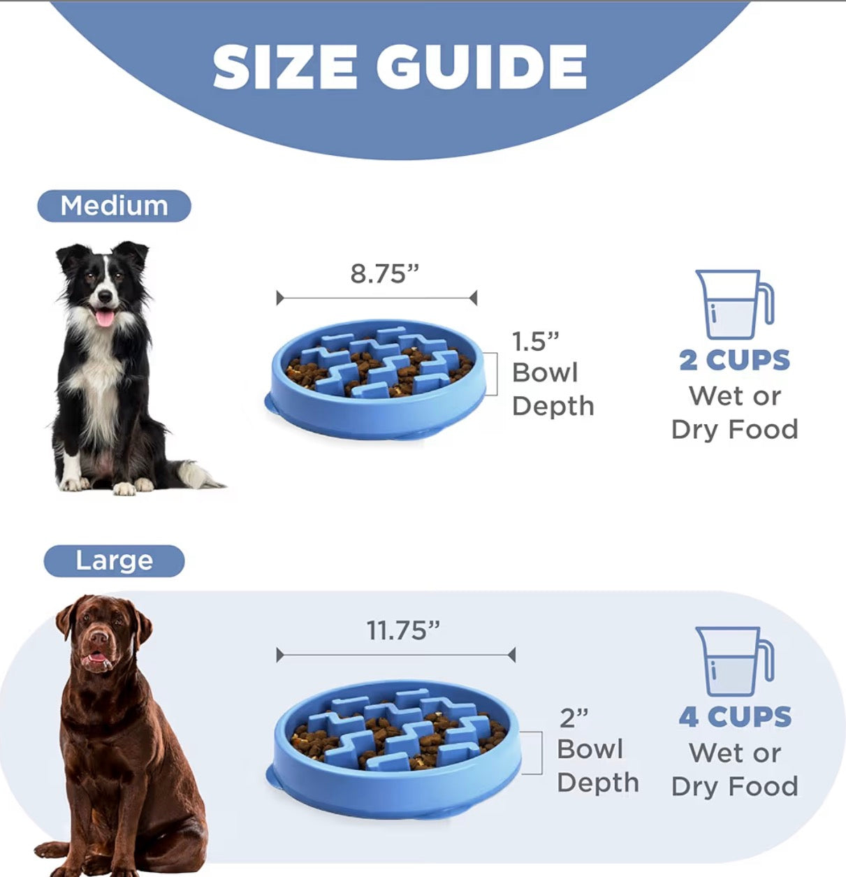Fun Feeder Slow Bowl