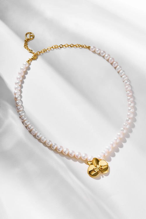 ORQUÍDEAS COLLAR MABE