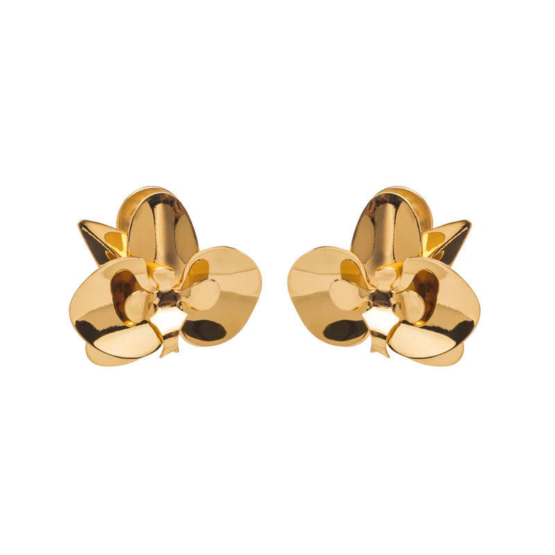 EVOLUA EARRINGS