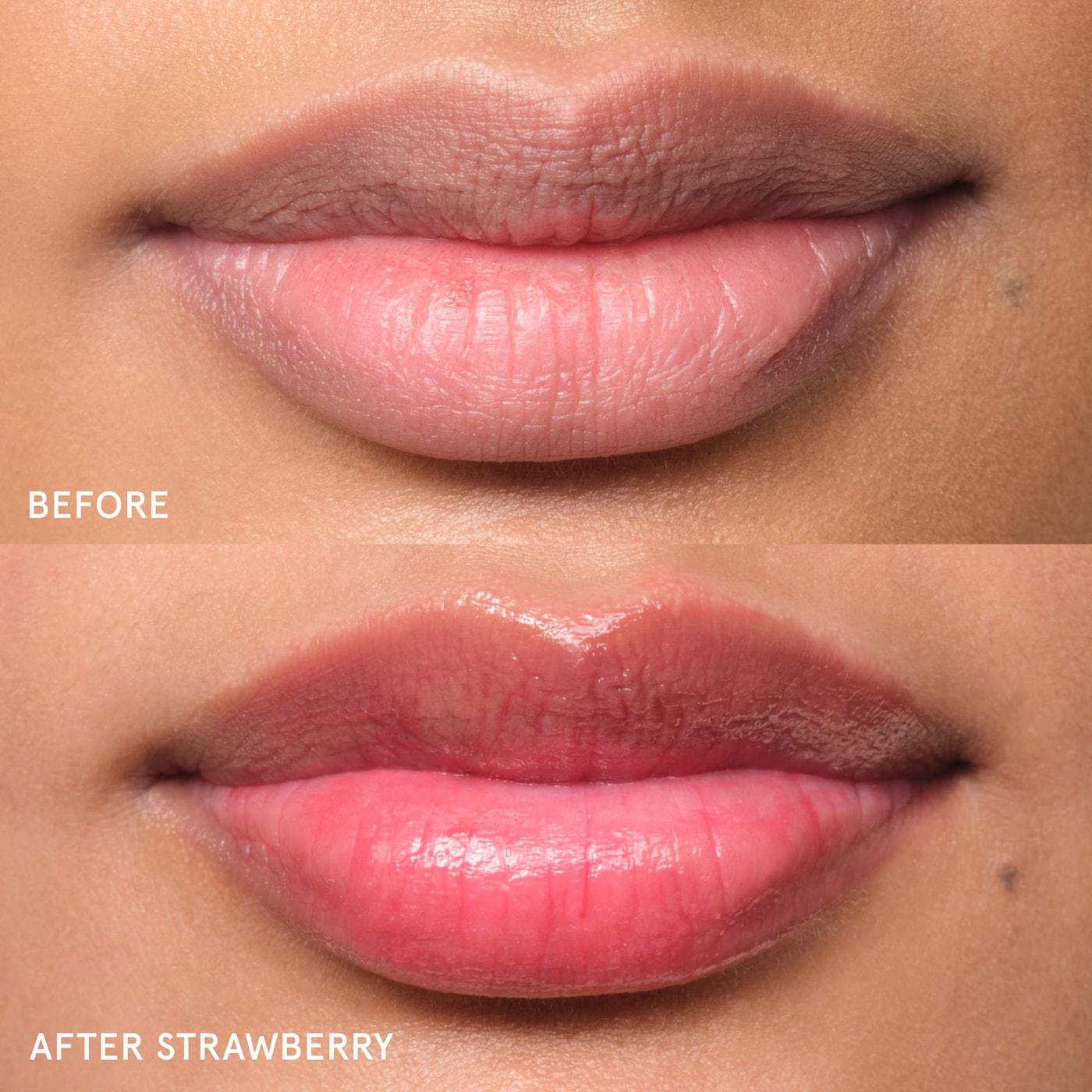 Balm Dotcom Lip Balm and Skin Salve