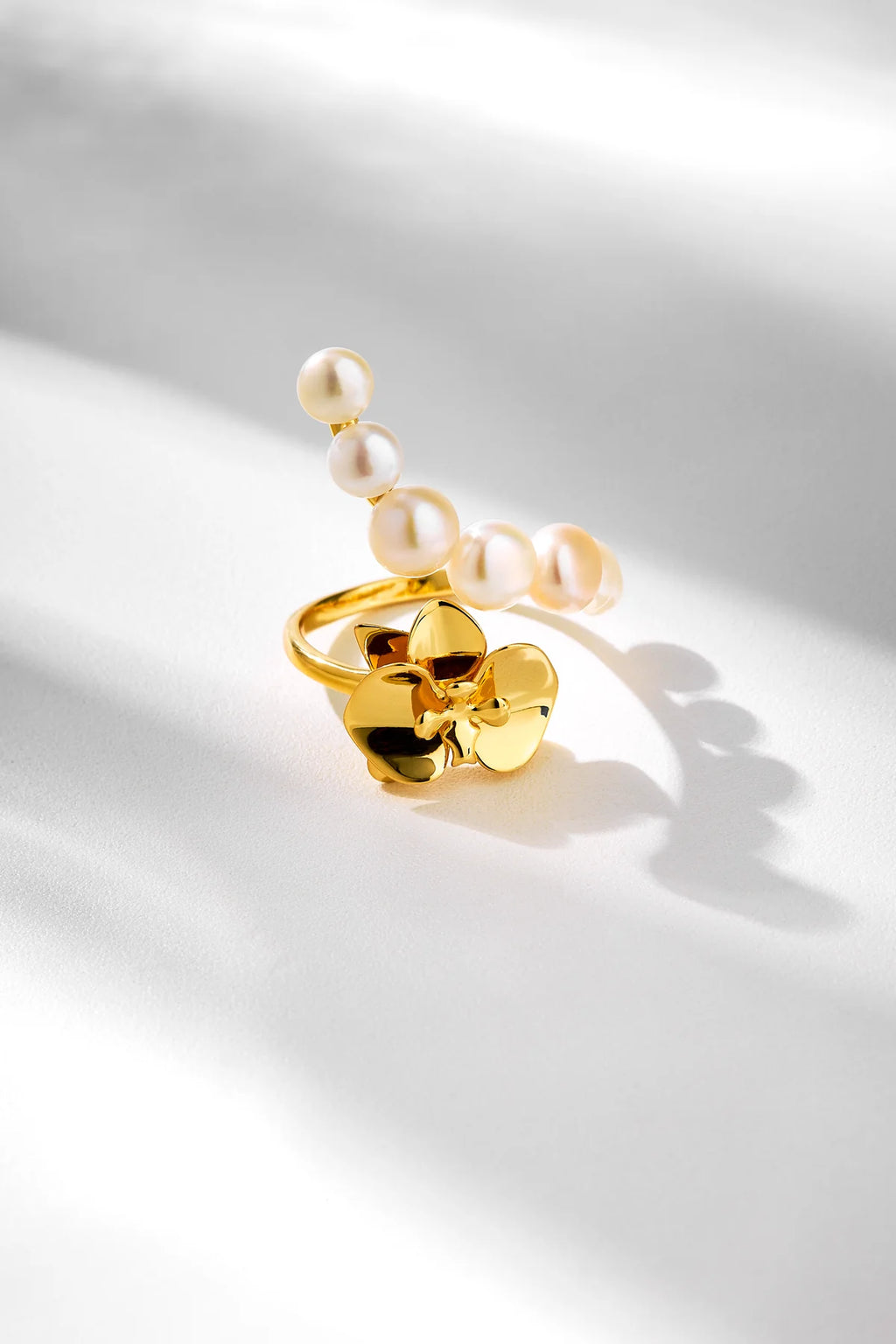 ORQUIDEAS MABE RING